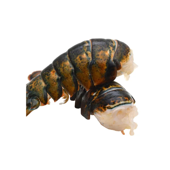 Frozen Style Packaging Lobster Lobsters / Frozen Lobster Tails For Sale