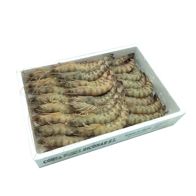 Wholesalefreeze Dried Shrimp Frozen Shrimp Export High Quality Low Moq