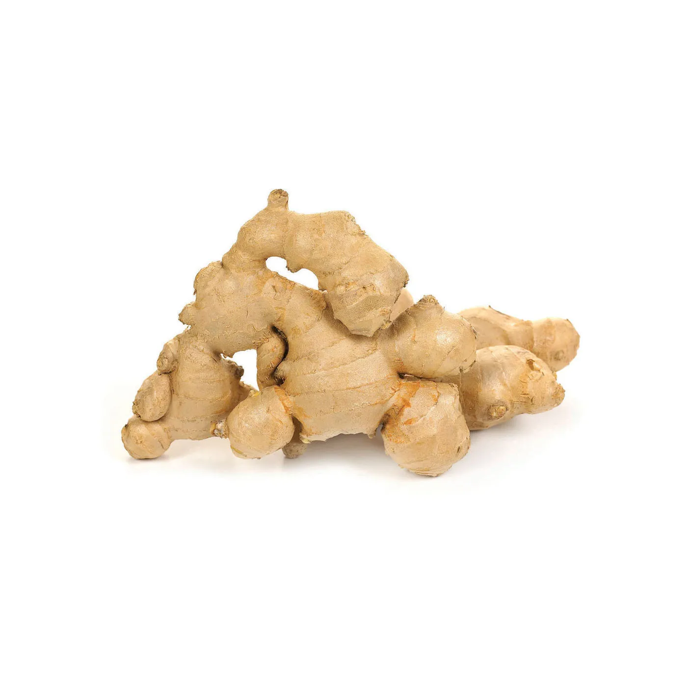Fresh Ginger With 100 Natural Ginger From Hot Sale Root Market Fresh