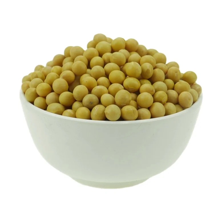 Non Gmo Soybeans High Quality Soya Beans / Soy Bean For Sale Buy