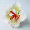 01: Blanco
