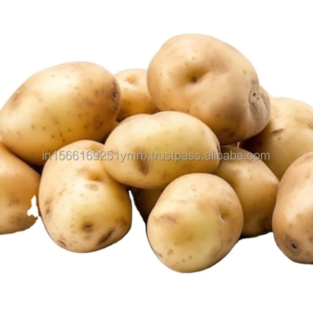 High Quality Maize Modified Potato Starch Manufacture By Factory Buy