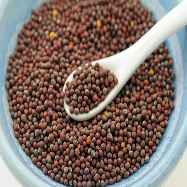 Mustard Seed For Sale Buy Mustard Seed Product on