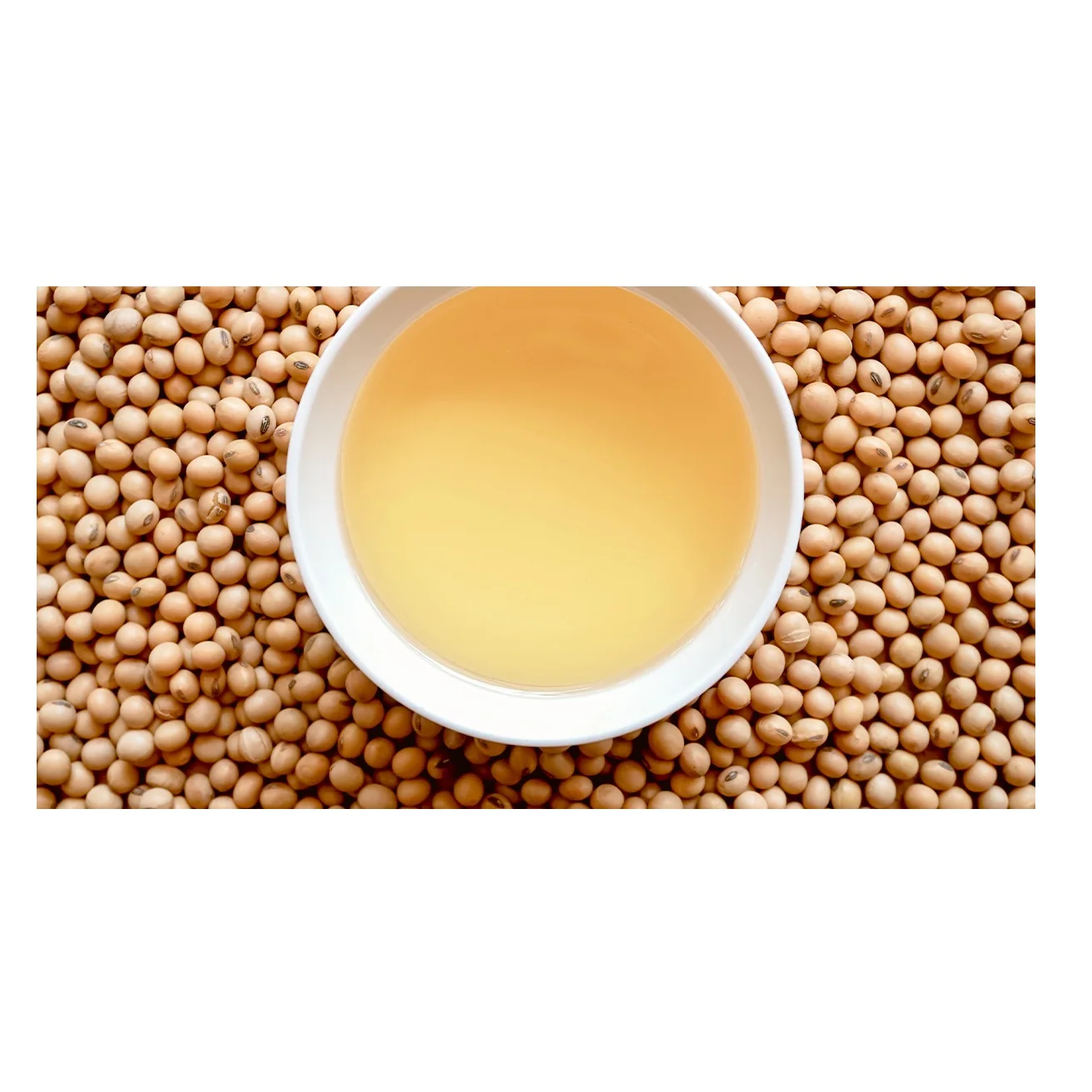 Refined Soybean Oil / Crude Degummed Soybean Oil Available Factory