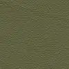 Olive Leatherette