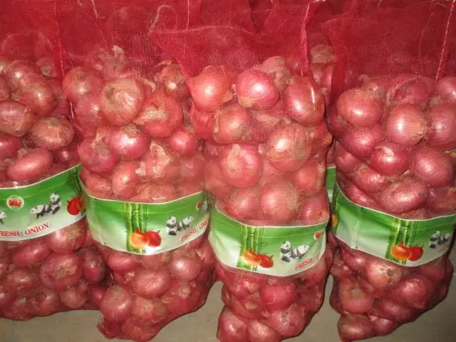 2024 ONION Red Onion for wholesale Manufacturers to Worldwide vast Selling at Low price