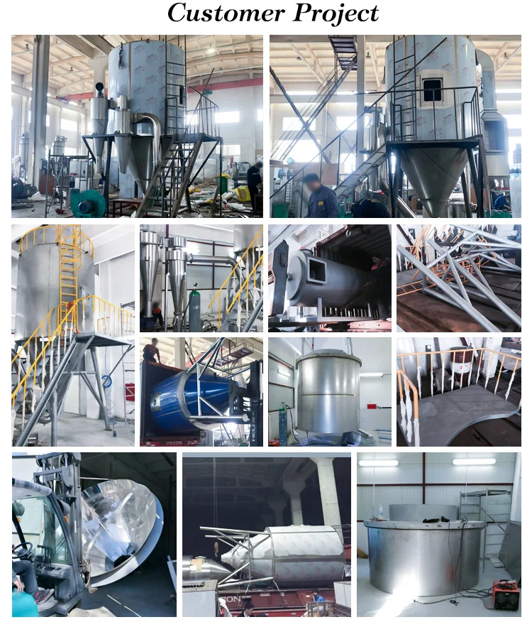 Rotary Atomizer Powder Whey Protein Ginger Spray Dryer Making Machine