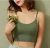 Menta