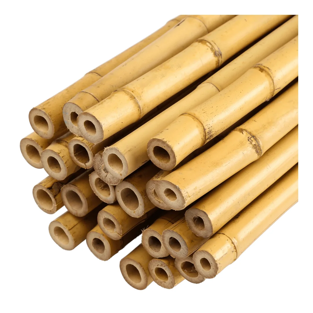 Decorative Natural Bamboo Poles Agriculture High Quality in Viet Nam With Cheap Price