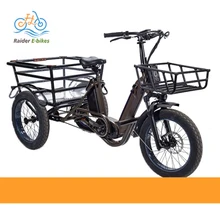 RaiderTrike-C202 48v 750w Fat Tire Tricycle Electric Cargo Bike Long range battery installation Electric Bikes For All Lifestyle