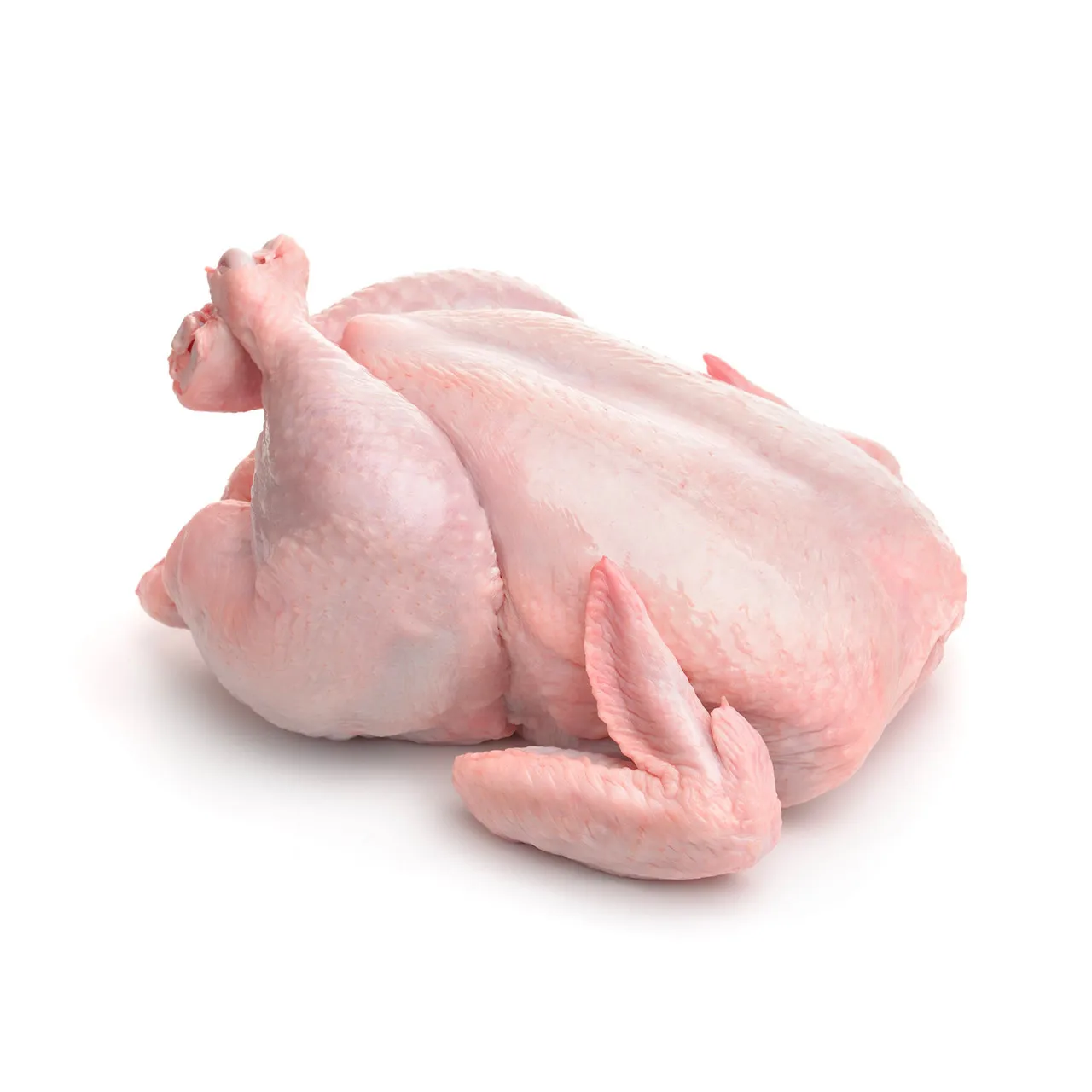 Top Brazilian / Frozen Fresh Whole Chicken Wings Wholesale Prices