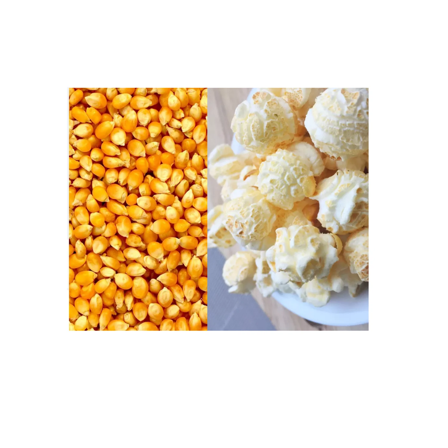 Pop Corn Maize Popcorn Maize Kernel Popcorn Yellow 15 Cm 10 Kg Dried