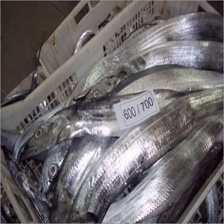 Affordable Factory Price Best Quality Wholesale Sea Bream For Sale In Cheap Price | sea bream fish frozen red seabream