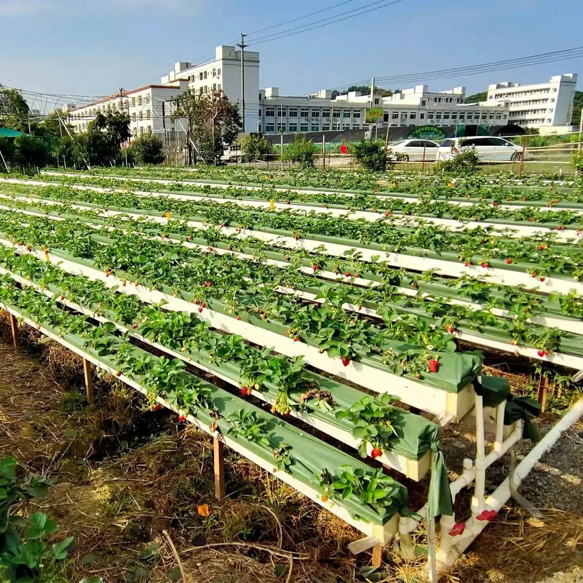 Heavy Duty Weed Barrier Fabric - 6 Feet X 300 Feet, Polypropylene Ground Cover For Landscaping & Gardens
