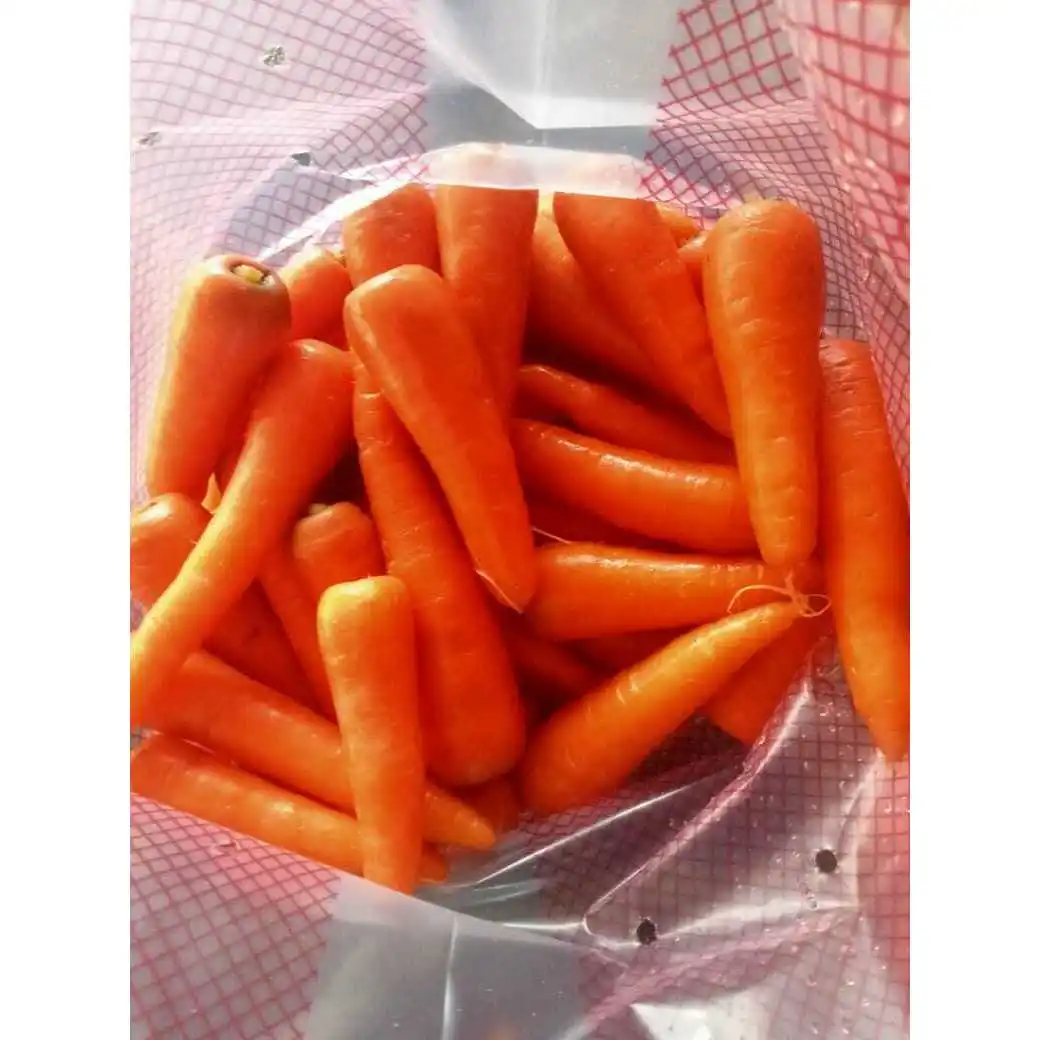 Fresh Carrot Price Export Wholesale Packing 10kg Net Fresh Vegetables