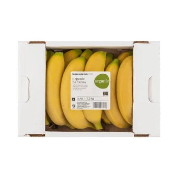 Best Price Fresh Fruit Bananas Bulk Stock Available With Customized Packing