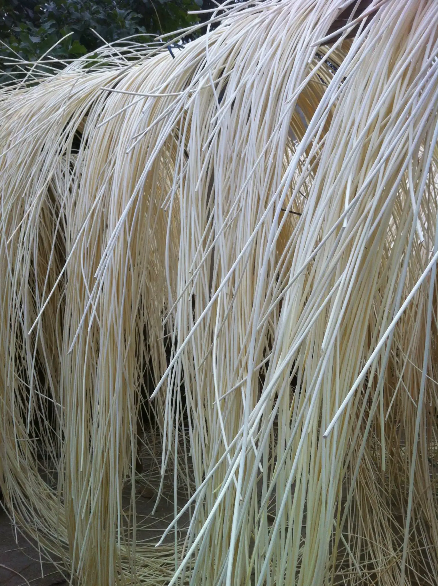 Rattan Spline/ Natural Rattan Core/repair Chair Rattan Furniture Up