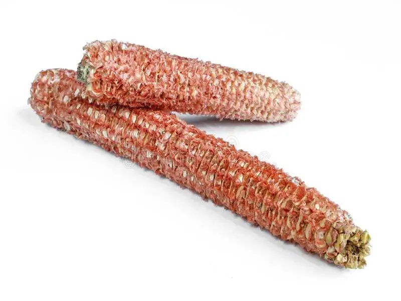 Brc Certified Frozen Sweet Corn Cob For Poultry And Feeding Buy Bare
