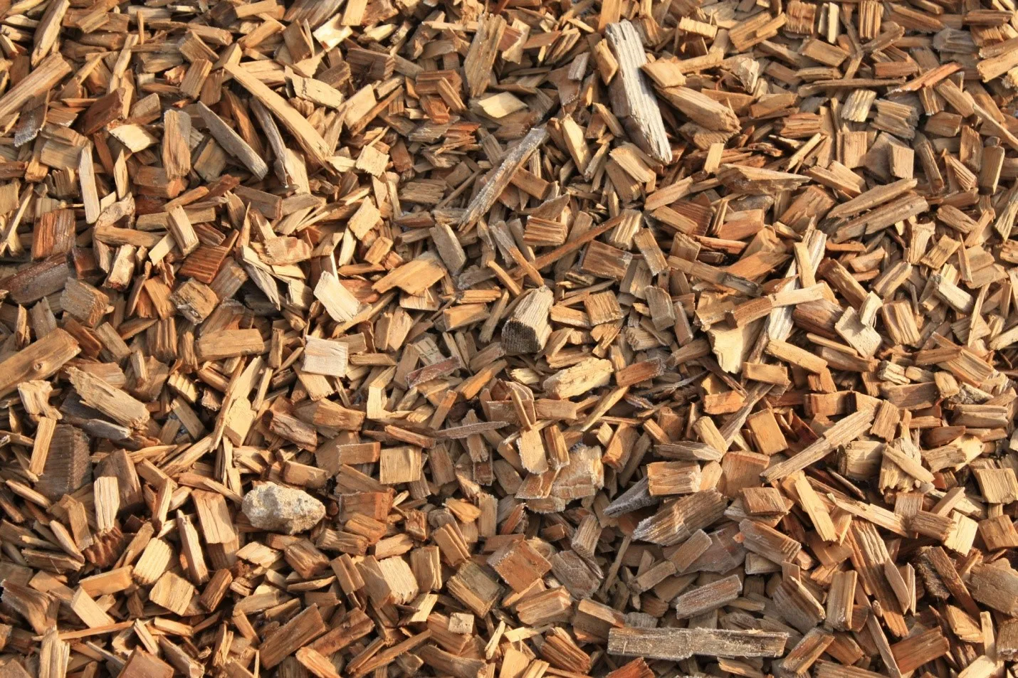 100 Acacia,Eucalyptus,Pine,Rubber Wood Chips Bulk And Cheap Price Pine