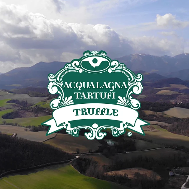 Оливковое масло первого отжима с ароматом черного трюфеля 100 мл трюфельное новый продукт