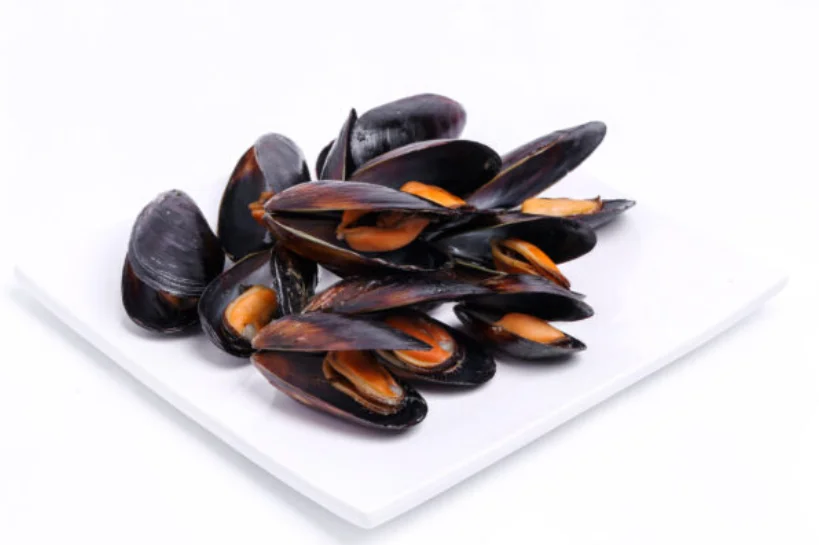 Fresh Frozen Mediterranean Mussel Meat Shellfish Detail Half Shell