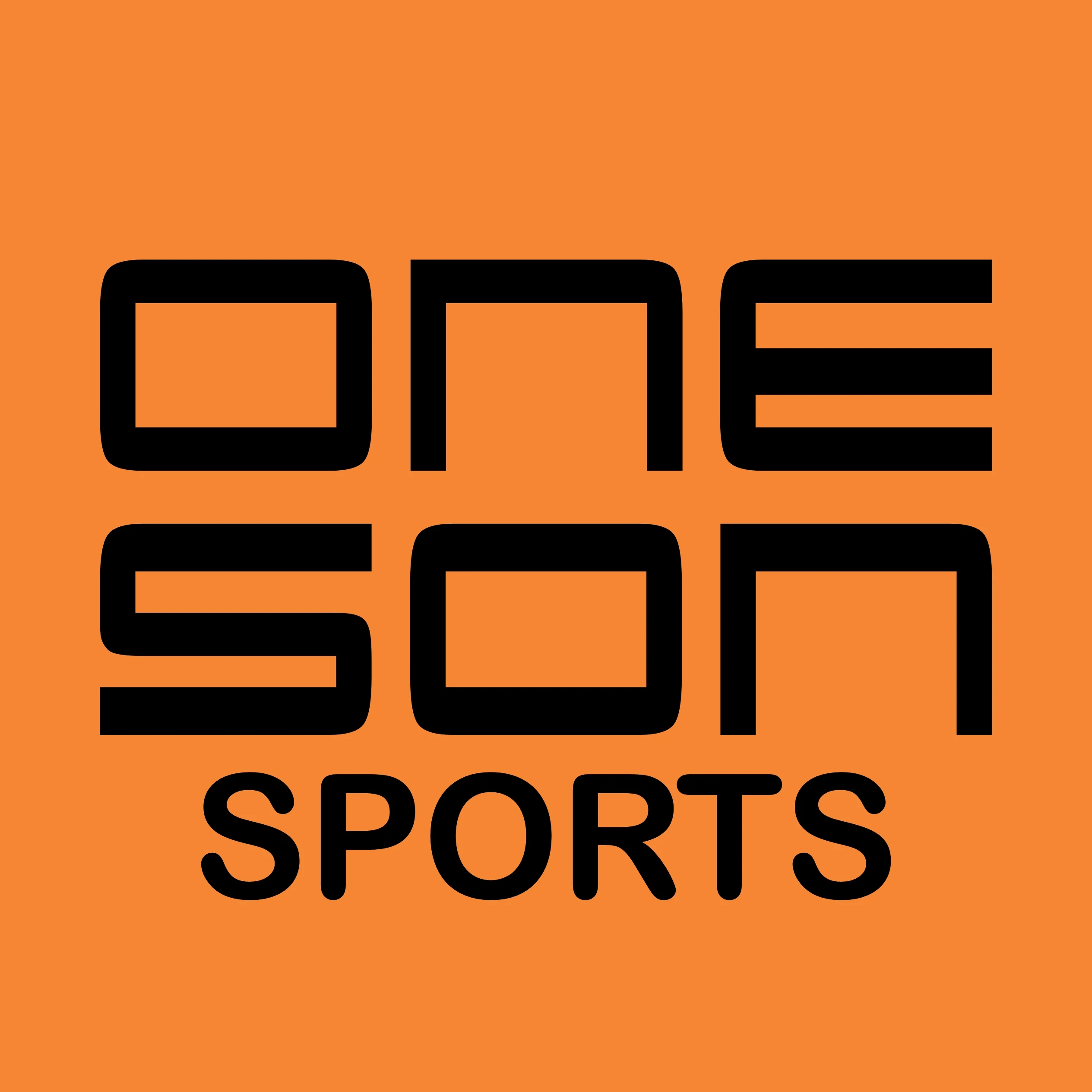 Company Overview - ONE SON SPORTS