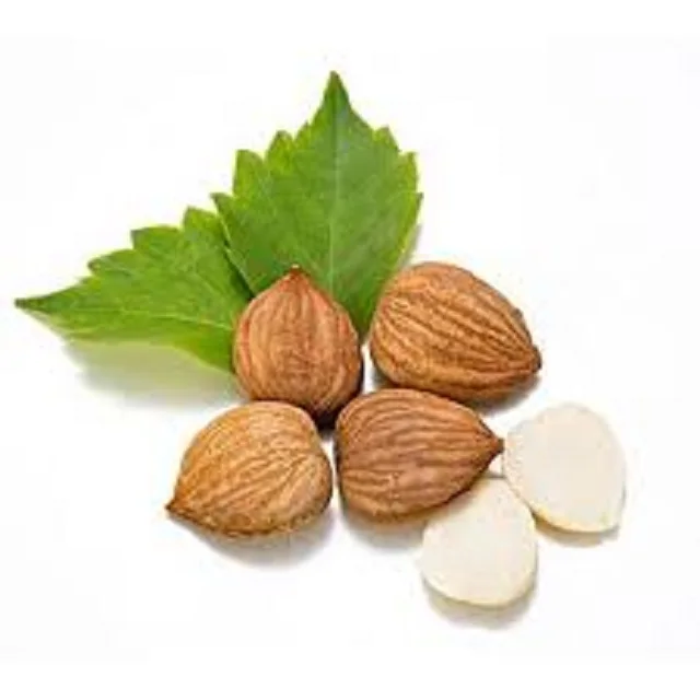 Almond Nuts Raw Bitter Large-Grain Fresh Healthy Strong Airtight Canning Bulk Packaging Snacks Blanched 99% Purity High-quality