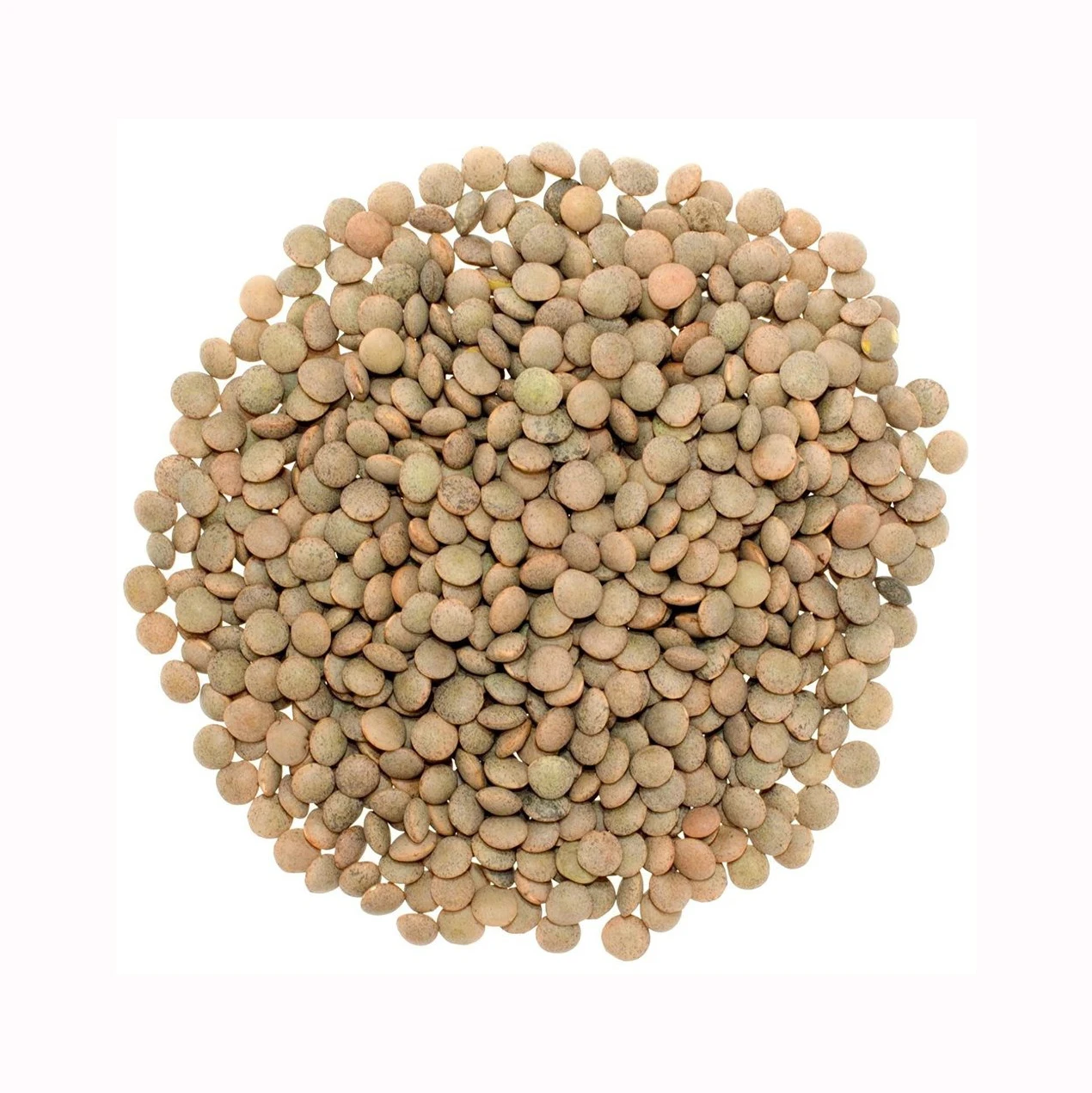 Bulk Red Lentils/ Canadian Red Lentils/ Buy Now Red Lentils - Buy Hot ...