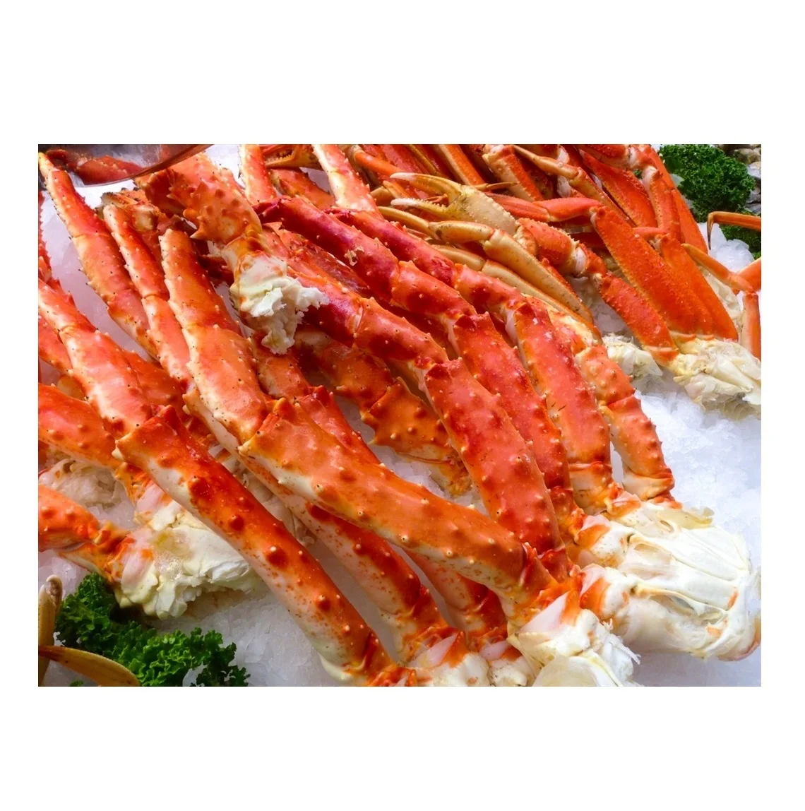 Whole Alaskan Red King Crab King Crab Wholesale Frozen King Crab Legs