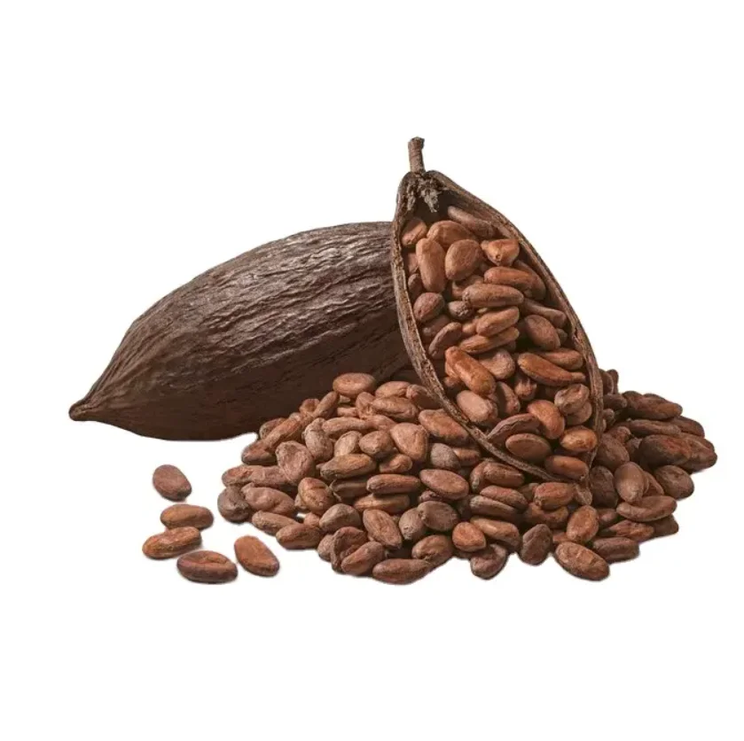 03000 (23).png