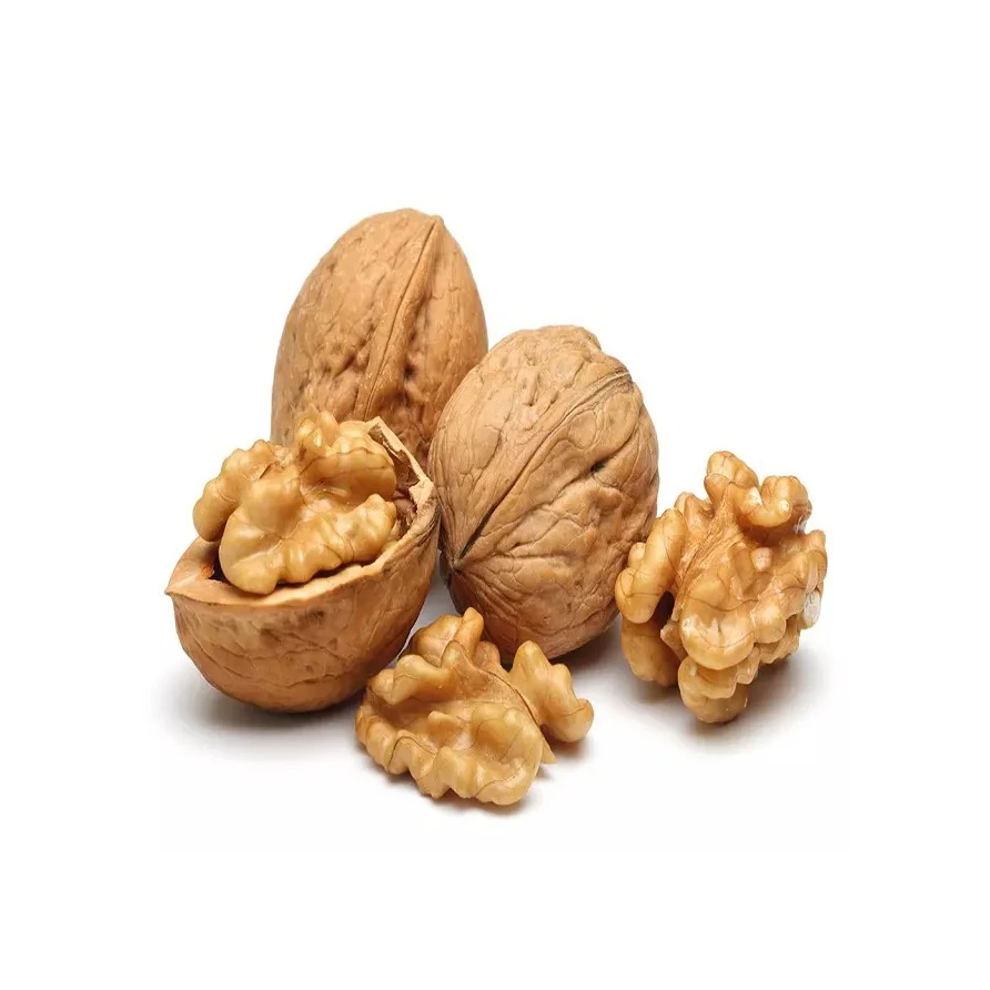 Extra Light Grade Walnut Light Kernel Wholesale Natural Bulk Large