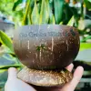 natural color of coconut shell