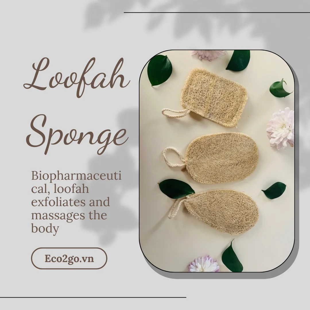 Wholesale Organic 100 Natural Loofah Sponge/ Sponge Loofah/ Shower