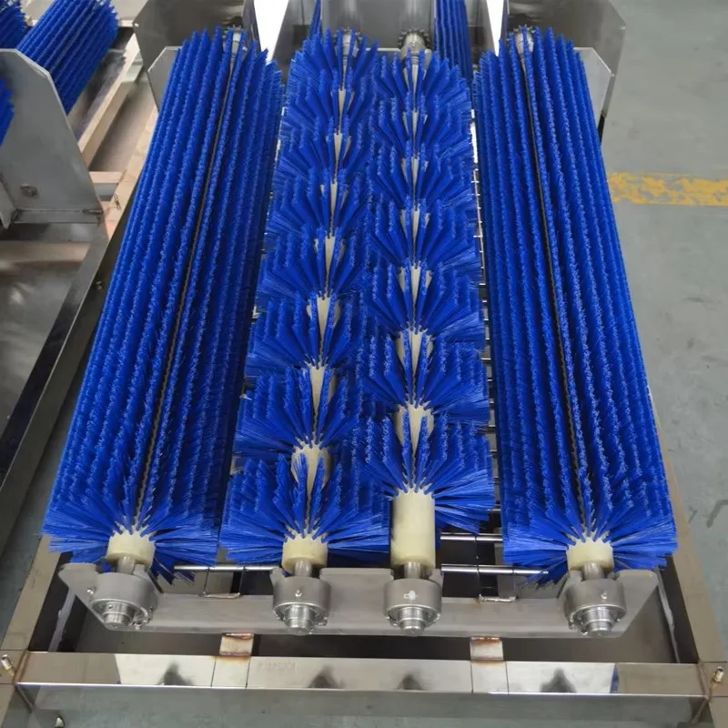Stainless steel boot cleaning machine for worker hygiene and food safety control in slaughterhouses