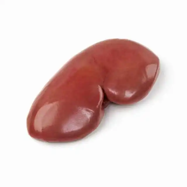 2024 Best Quality Frozen Pork Kidney With Customized Packing In Bulk