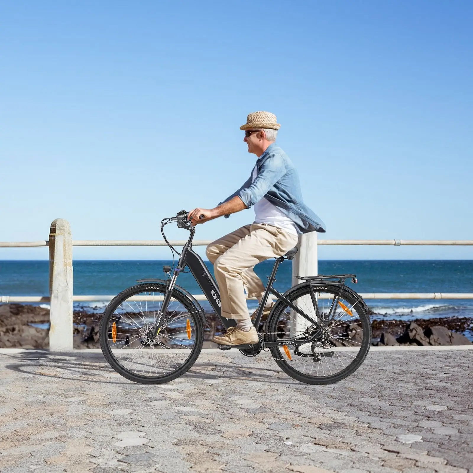 TTGO LK-ZZ-28ST Electric Bike City Electric Bike 250W 36V 20Ah battery Shimano 9 speed