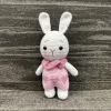 Bunny with Pink Dress
