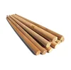 Color de la madera