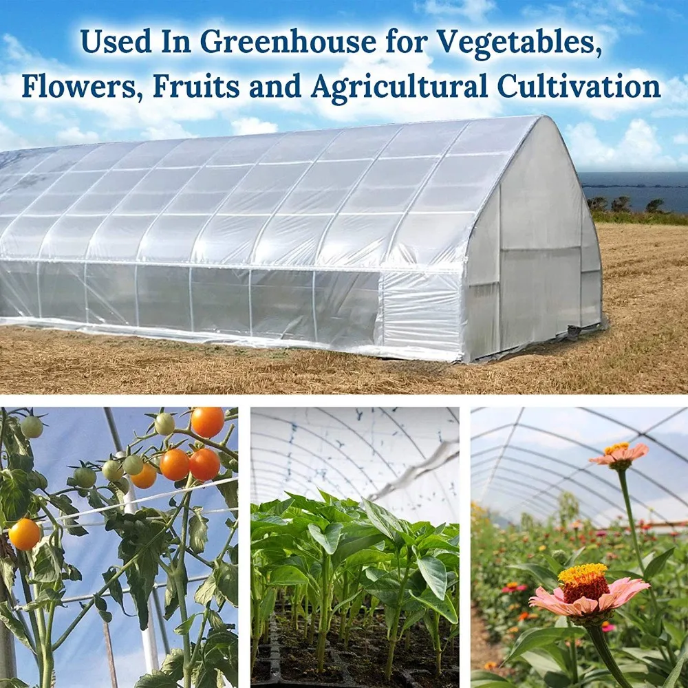 INFUNPLASTIC 150 Micron UV5 PE Greenhouse Film Agricultural Plastic Cover Roll
