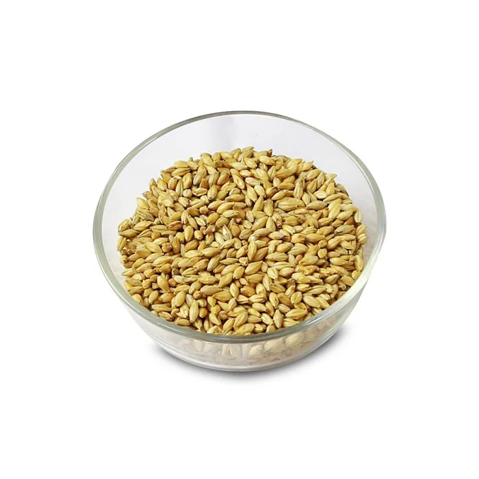 Barley For Malt,Barley Feed,Malted Barley Animal Feed Barley - Buy ...