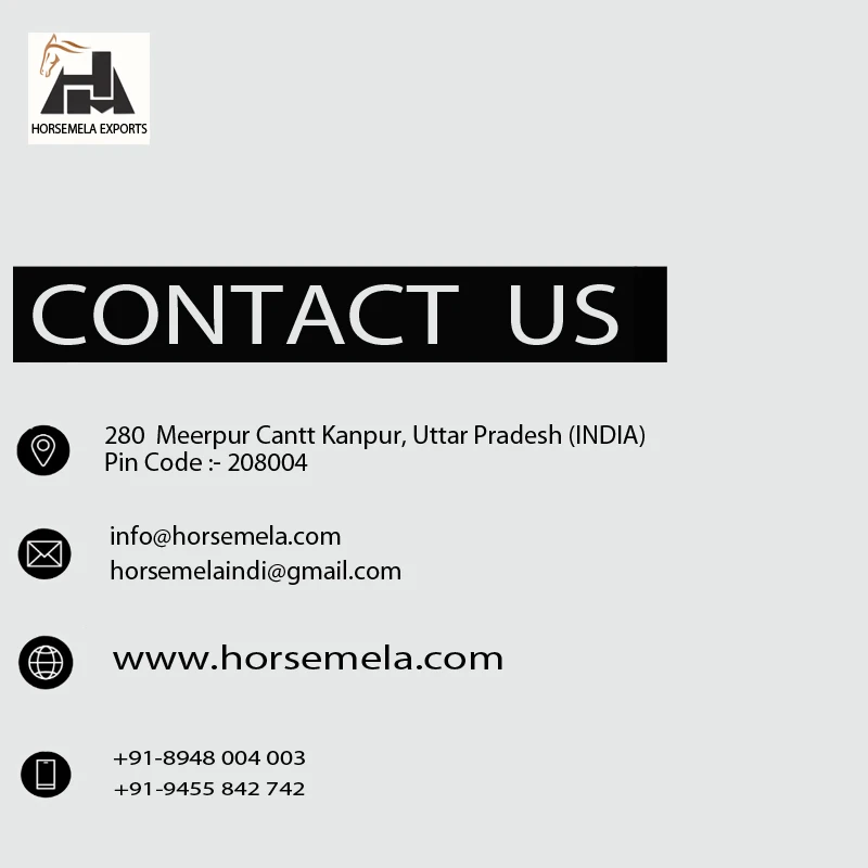 Genuine Leather Horse Bridle With Multi Size Edgy Crystal Rhinestone