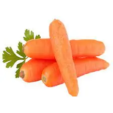 High Quality Carrots/ Wholesale Fresh Red Carrot Organic Fresh Carrots for Sale