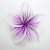 B04 : Allure Purple