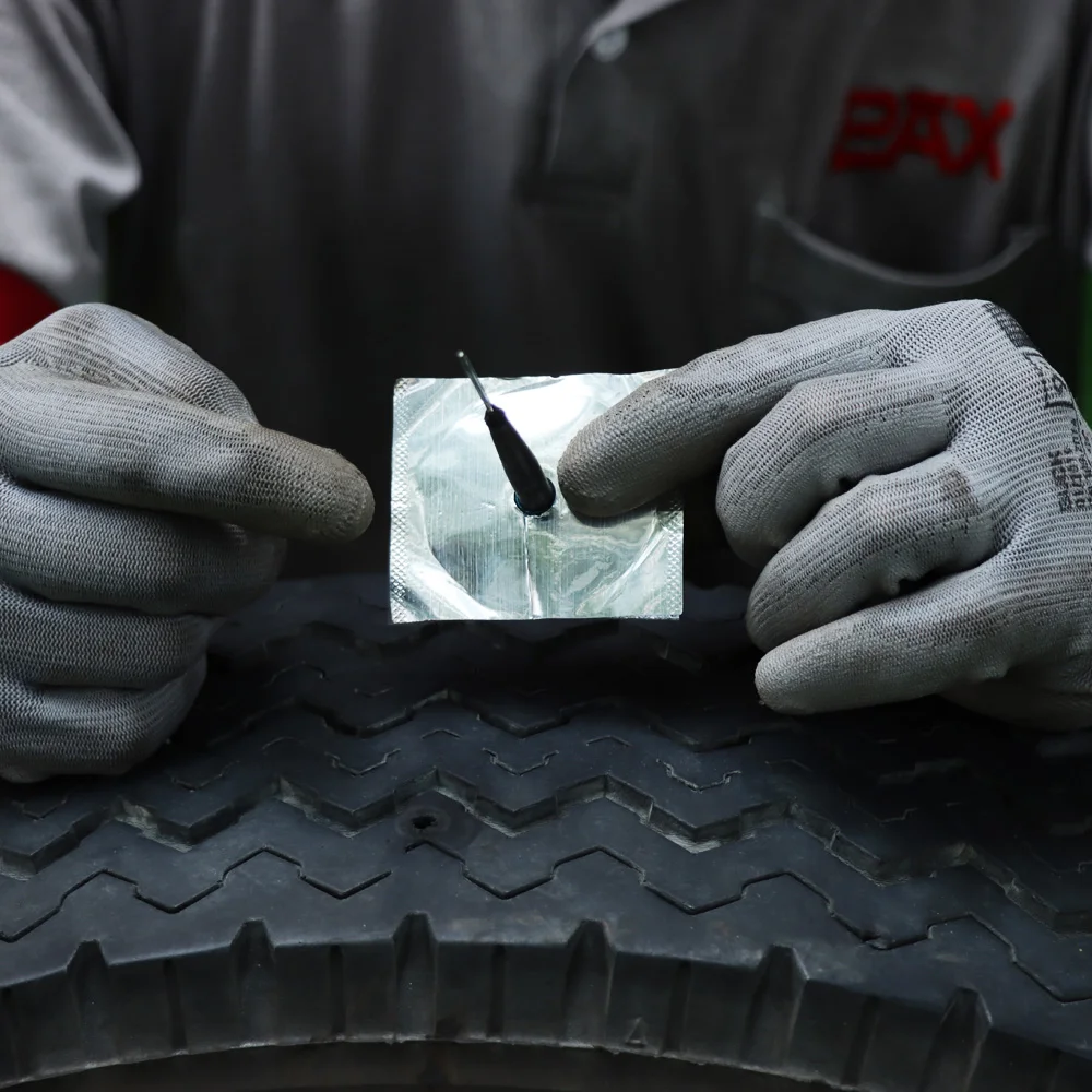 Комплект штепсельной вилки для грибов