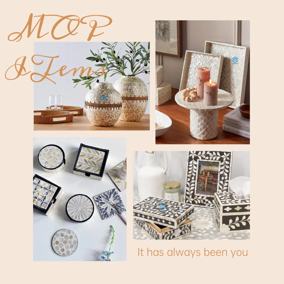 Luxury Deluxe Long Lasting Indoor Decorative Highlight Shell Encrusted ...