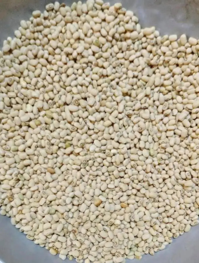 Black Eyed bean 1.jpg