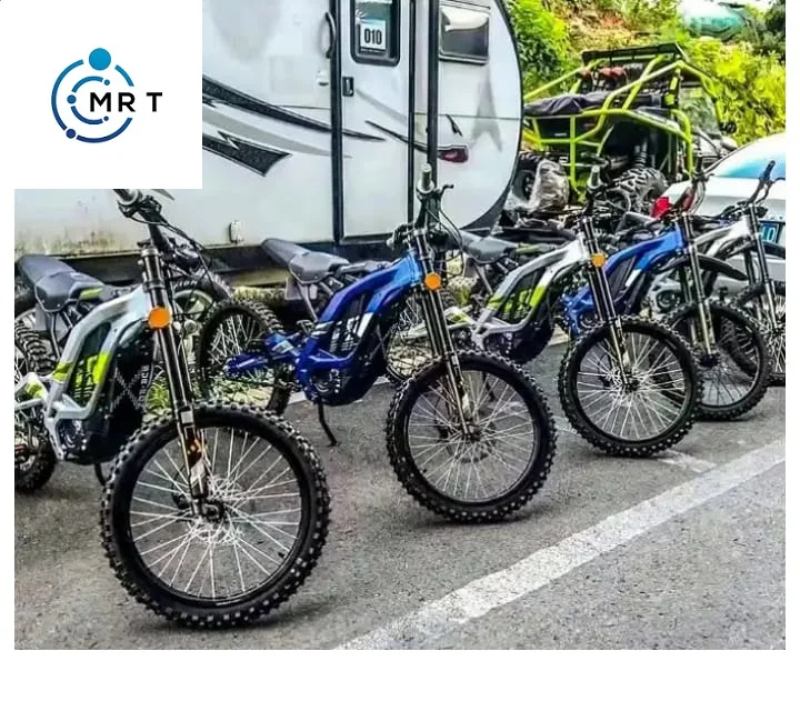 Electric Bike Warranty On Mountain Bike Best Selling Ebike 26/750w 48v