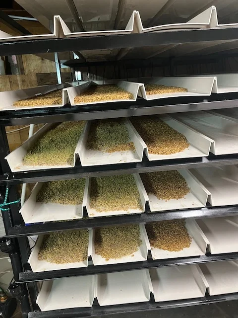 fodder system