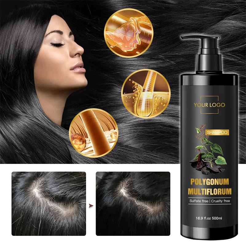 Производитель OEM частная марка аргановое масло шампунь без сульфатов эссенций полигон мультифлорум черный против выпадения