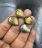 Multicolor Brillante